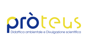 Proteus