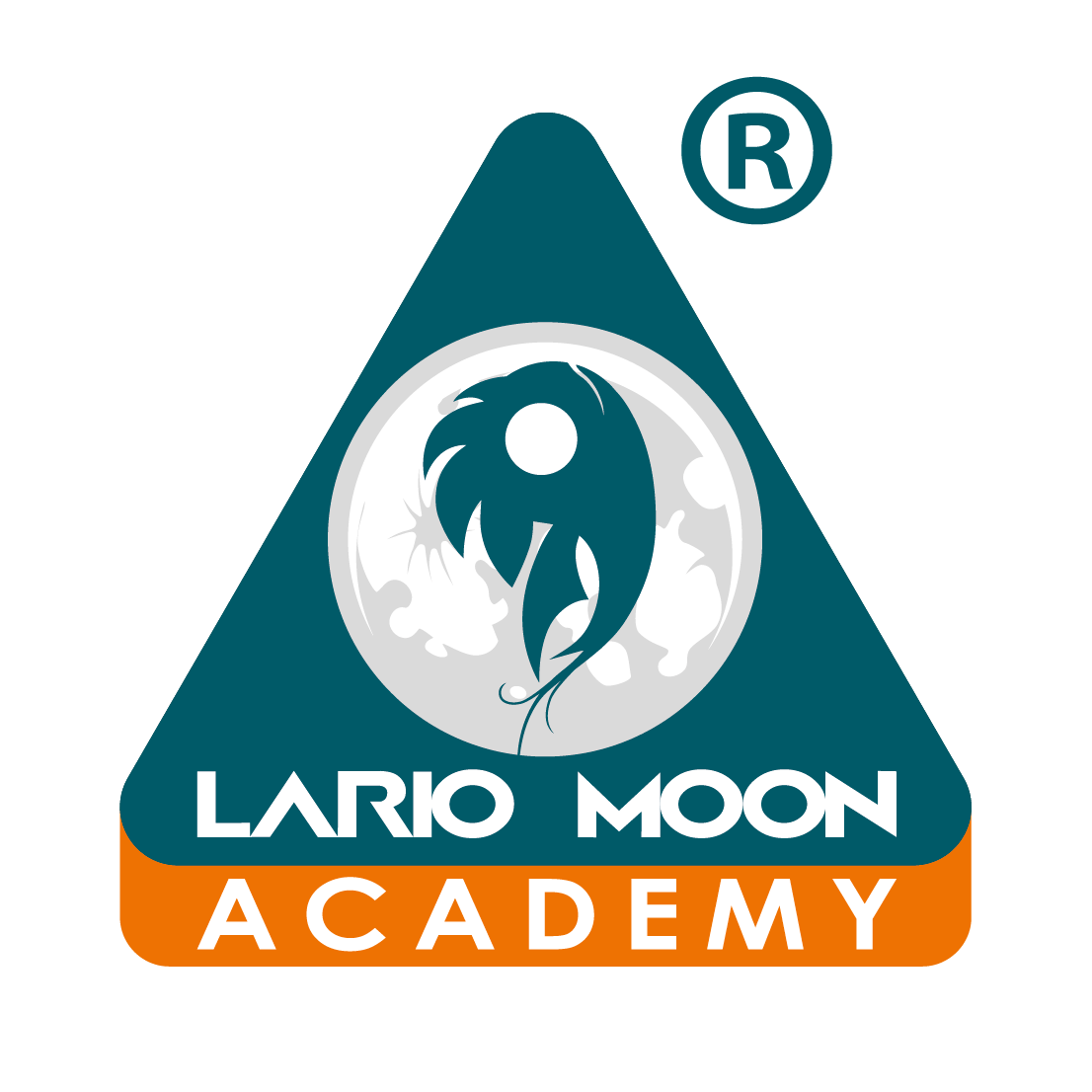 Lario Moon Academy